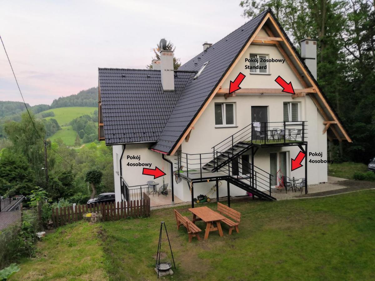 Villa Sudecka Duszniki Zdrój Exterior foto